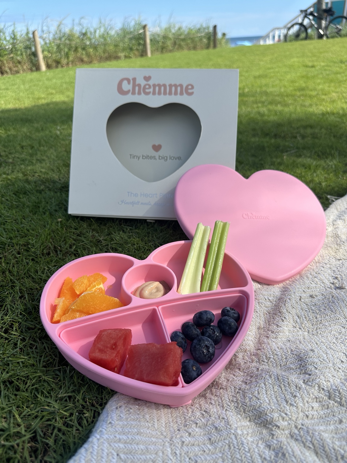 Pink heart-shaped plate with fresh fruit at a beachside picnic